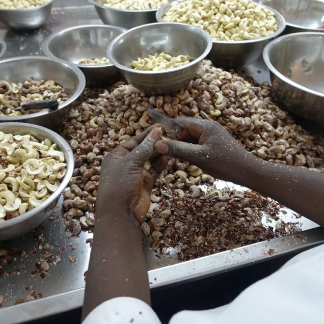 Person in a factory peels cashew nuts with a knife.
